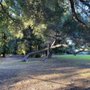 Photo of Stow Grove Park