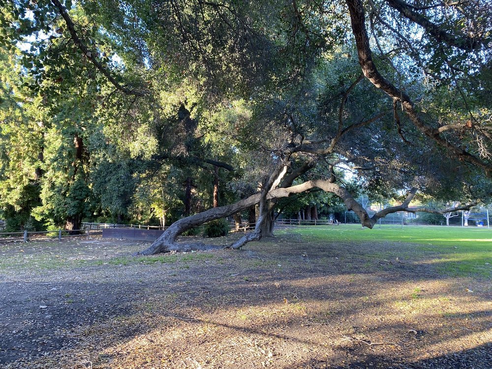 Stow Grove Park Logo