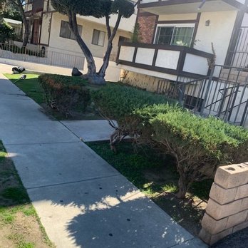 Angel's Gardening Services - Before - Gardeners Near Me - Pasadena, California Angel's Gardening Services - Before - Gardeners Near Me - Pasadena, California