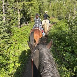Nightlinger, Mugshot and Stormy with our guide Abigail on the Apgar Lookout trail. An absolutely beautiful day for a horseback ride.
