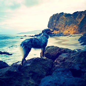 Point Dume State Beach - Beaches Near Me - Malibu, California