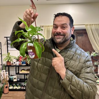 Sunroom Plants - Just breathe.... Ahhhhh - Nurseries & Gardening Near Me - Ridgewood, New Jersey