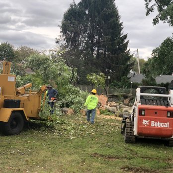 Bucks Tree Care & Landscaping - Tree Services Near Me - Levittown, Pennsylvania Bucks Tree Care & Landscaping - Tree Services Near Me - Levittown, Pennsylvania