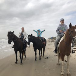 Beach Bum Horse Rides - Beautiful morning for a ride.