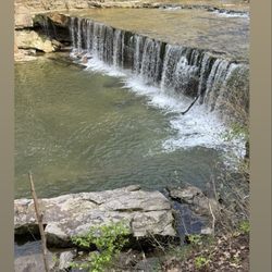 Anderson Falls