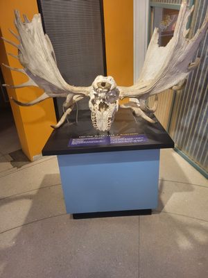 EcoTarium by null