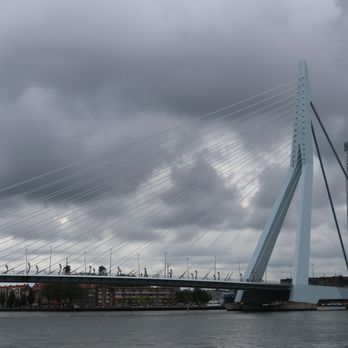 Erasmusbrug - Landmarks & Historical Buildings Near Me - Rotterdam, ZH Erasmusbrug - Landmarks & Historical Buildings Near Me - Rotterdam, ZH