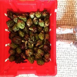 First artichokes of the season!