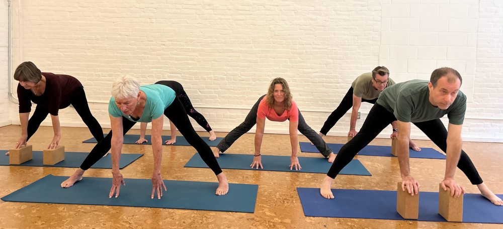 Motion Center Yoga  Logo