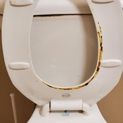 Quality Inn & Suites - Seriously!!! Gross