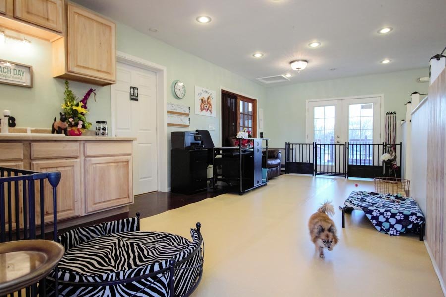 THE YUPPIE PUP Updated September 2024 19 Photos 4250 E Snider Dr