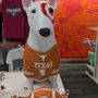 Photo of Target