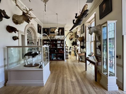 Connecticut's Old State House by null