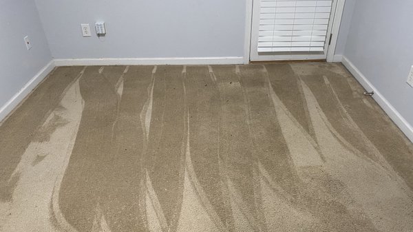 Dry carpet extraction - Red wine and oil deposited carpets, 15 yrs old restored to new