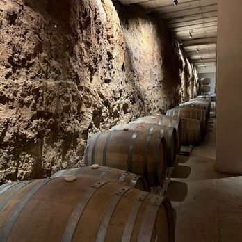 Baron Balche - Bodegas - Wineries Near Me - Ensenada, BCN Baron Balche - Bodegas - Wineries Near Me - Ensenada, BCN