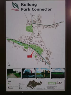 Bishan-Ang Mo Kio Park by null