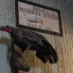Third Rail Saloon