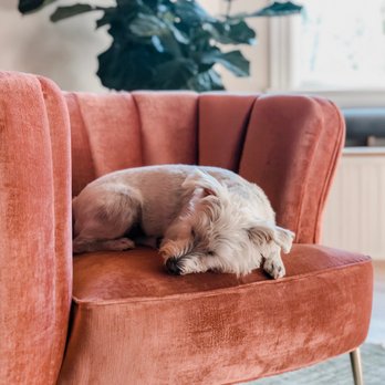 Dreamers By DW - We have dog-friendly rooms - Bed & Breakfast Near Me - Wilmington, North Carolina Dreamers By DW - We have dog-friendly rooms - Bed & Breakfast Near Me - Wilmington, North Carolina