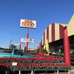 Houston Garden Centers - Beautiful day at Houston garden centers!