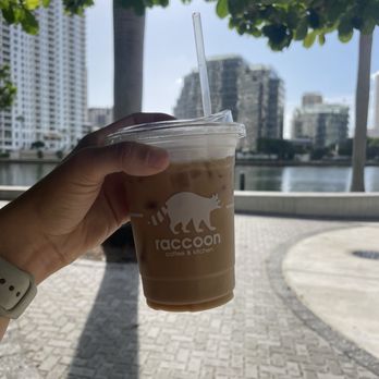 Raccoon Coffee - Iced Latte - Coffee & Tea Near Me - Miami, Florida Raccoon Coffee - Iced Latte - Coffee & Tea Near Me - Miami, Florida