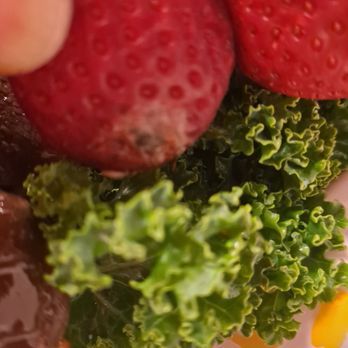 Edible Arrangements - Bunker Hill - a hand holding a plate of broccoli and strawberries - Gift Shops Near Me - Houston, Texas Edible Arrangements - Bunker Hill - a hand holding a plate of broccoli and strawberries - Gift Shops Near Me - Houston, Texas
