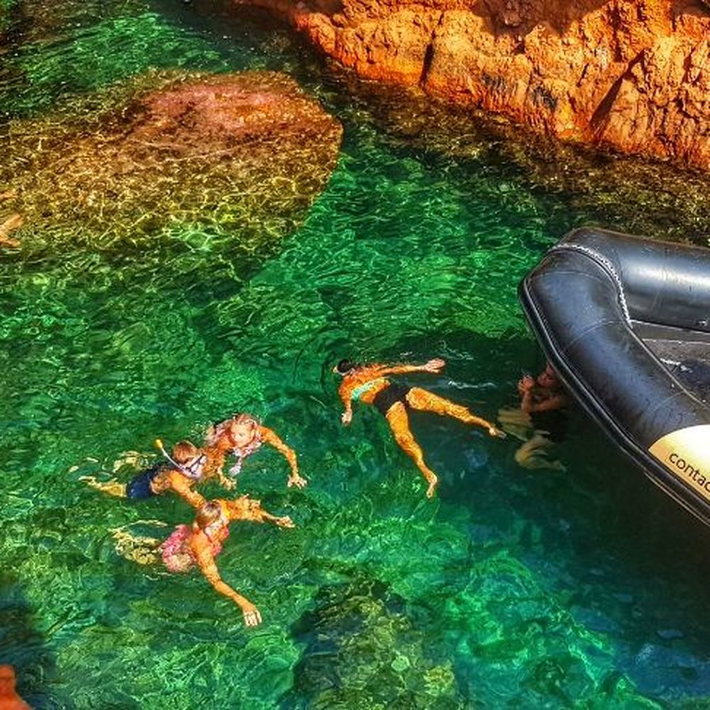 British Again Smash, image size:1000x1000