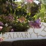 Calvary Chapel Merritt Island