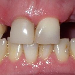 Magnolia Bright Dental
