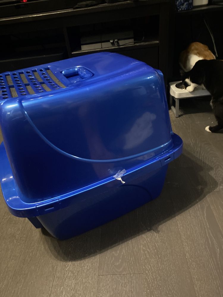 PET VALU Updated October 2024 869 Danforth Avenue, Toronto, Ontario