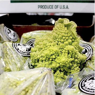 Lancaster Farm Fresh Cooperative by null