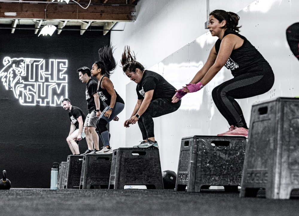 The Gym Logo
