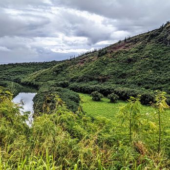 Wailua River - Rafting/Kayaking Near Me - Wailua, Hawaii