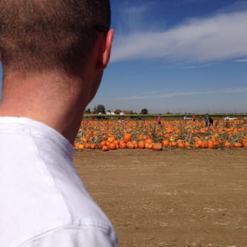 Rock Creek Farm - A view of pumpkin patch - Pumpkin Patches Near Me - Broomfield, Colorado Rock Creek Farm - A view of pumpkin patch - Pumpkin Patches Near Me - Broomfield, Colorado
