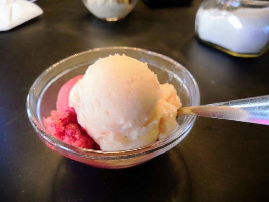 Bizziice ice cream parlor Organic Gelato Sachsenhausen by null