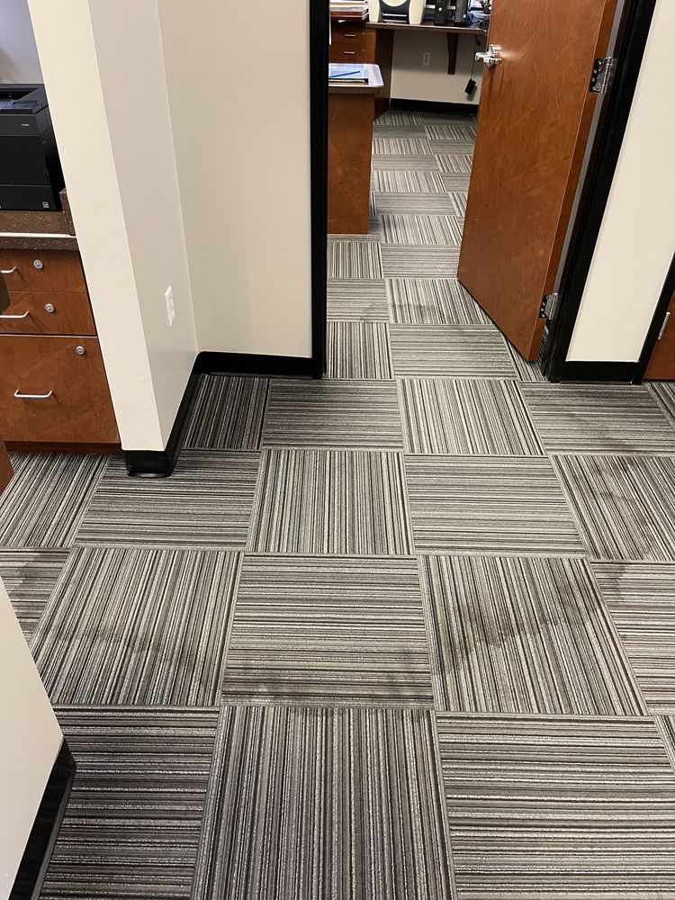 PRO BUDGET CARPET CLEANING 280 Photos & 305 Reviews 2965 S Cedar