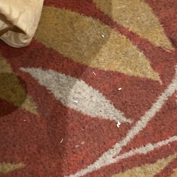 Hei La Moon - Filthy carpet - Dim Sum Near Me - Boston, Massachusetts Hei La Moon - Filthy carpet - Dim Sum Near Me - Boston, Massachusetts