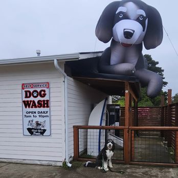 Make It Click Dog Training - Pet Training Near Me - Long Beach, Washington