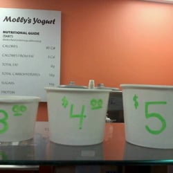 Molly's Yogurt