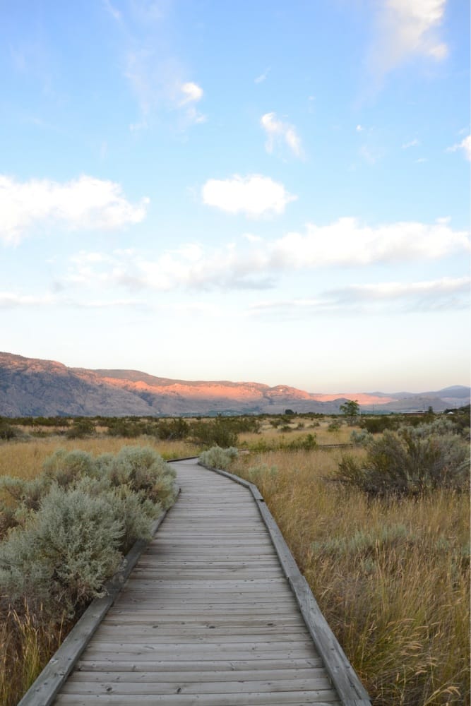 Osoyoos Desert Centre Parks 146 Ave Okanagan Similkameen A Phone Number