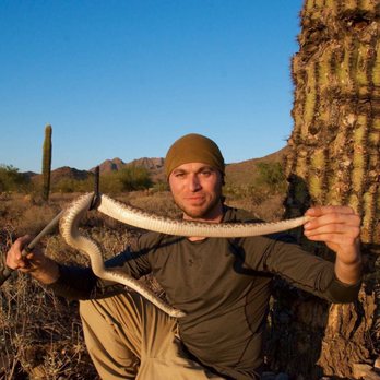 Arizona Wildlife Solutions - Mojave Rattlesnake - Wildlife Control Near Me Arizona Wildlife Solutions - Mojave Rattlesnake - Wildlife Control Near Me