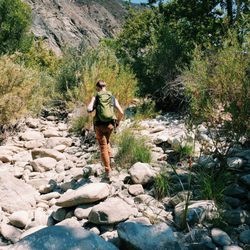 Red Rock Trail - The trek along the creek