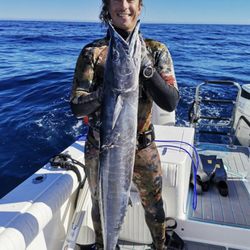 Fish Out of Water Tours - Winter spearfishing off of Los Cabos.