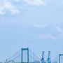 Photo of Walt Whitman Bridge