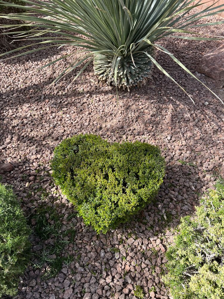 Bridge Yard Care - tree service in Las Vegas, NV