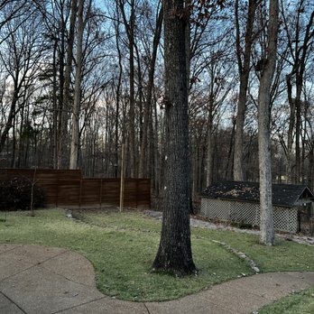 Swoco Landscaping - After photo of leaf cleanup! - Landscaping Near Me Swoco Landscaping - After photo of leaf cleanup! - Landscaping Near Me