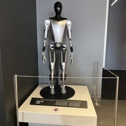 Tesla - Tesla bot