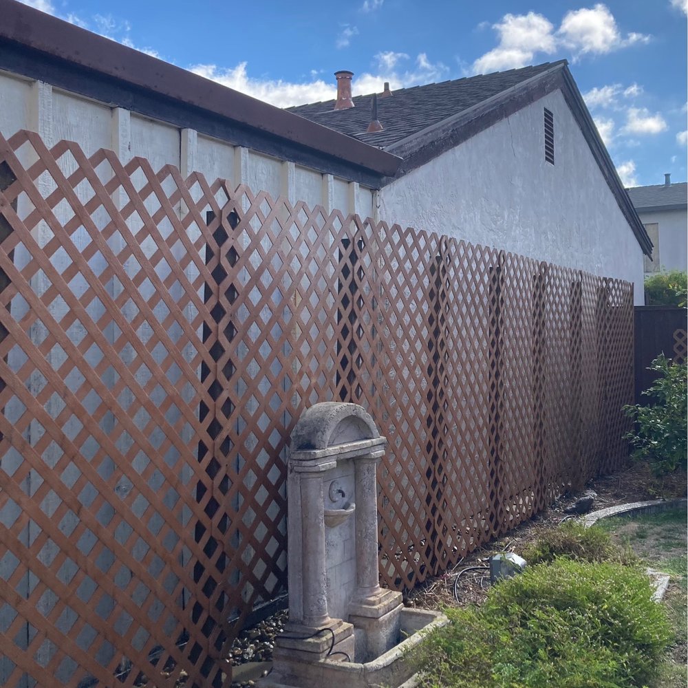 AFTER: Gorgeous Trellis Wall AFTER: Gorgeous Trellis Wall