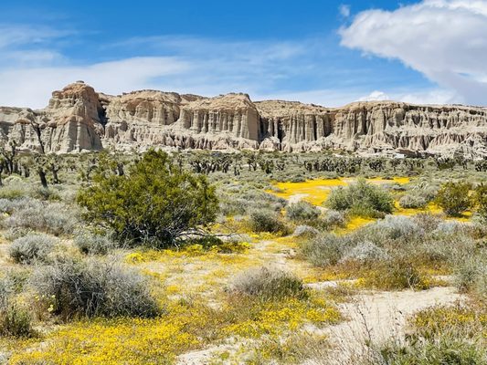 Red Rock Canyon State Park by null