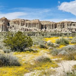 Red Rock Canyon State Park