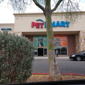 PetSmart - Fav PetSmart in a Vegas.. - Pet Groomers Near Me - Henderson, Nevada PetSmart - Fav PetSmart in a Vegas.. - Pet Groomers Near Me - Henderson, Nevada
